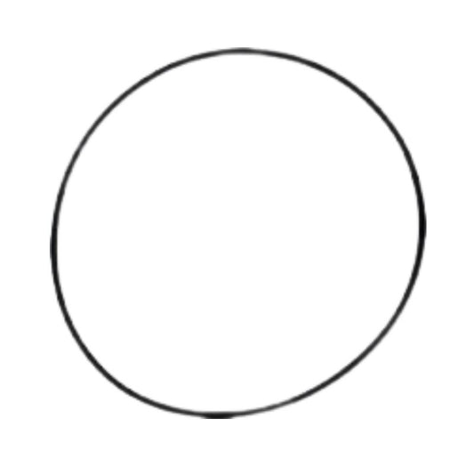 Viton Rubber O-Ring - For Ploog Brand Centrifuge Extractors