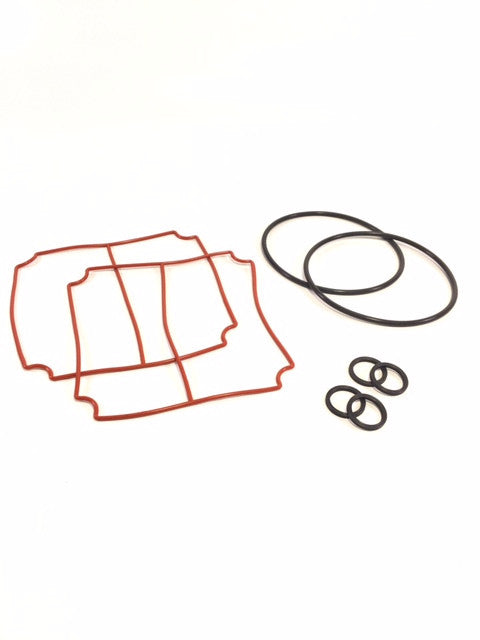 Service Seal Kit for 'Big Brother' Oilless Vacuum Pump