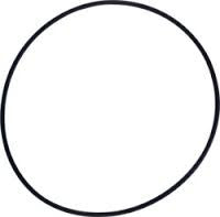 Viton O-Ring for use with 1500 or 3000-Gram Centrifuge Extractor